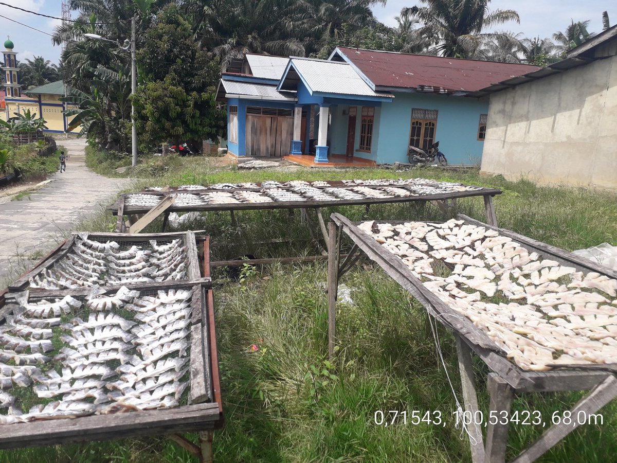 AndesThp06's tweet photo. M, Andesba Arifin, Luhkan Kab. RoHul, melaporkan produksi Ikan Asin Patin di Endang Santika Sari, Kl Ujung Batu, bln Juli 2021 sebesar 250 kg, harga jual 40000/kg (09/8)
#GiatLuhkanSatminkalMDN #RoHul #Produks
@puslatluhkp @bpppmedan_brsdm @brsdmkp dan @kkpgoid https://t.co/cyQgeAgsJK