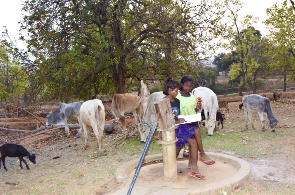 They have found a solution to the constant struggle between their cattle grazing duty and studies. #Aahanbravehearts have combined both and do this in groups/turns so that few of them can focus only on study while others do both. #education #adivasigirlsmatters