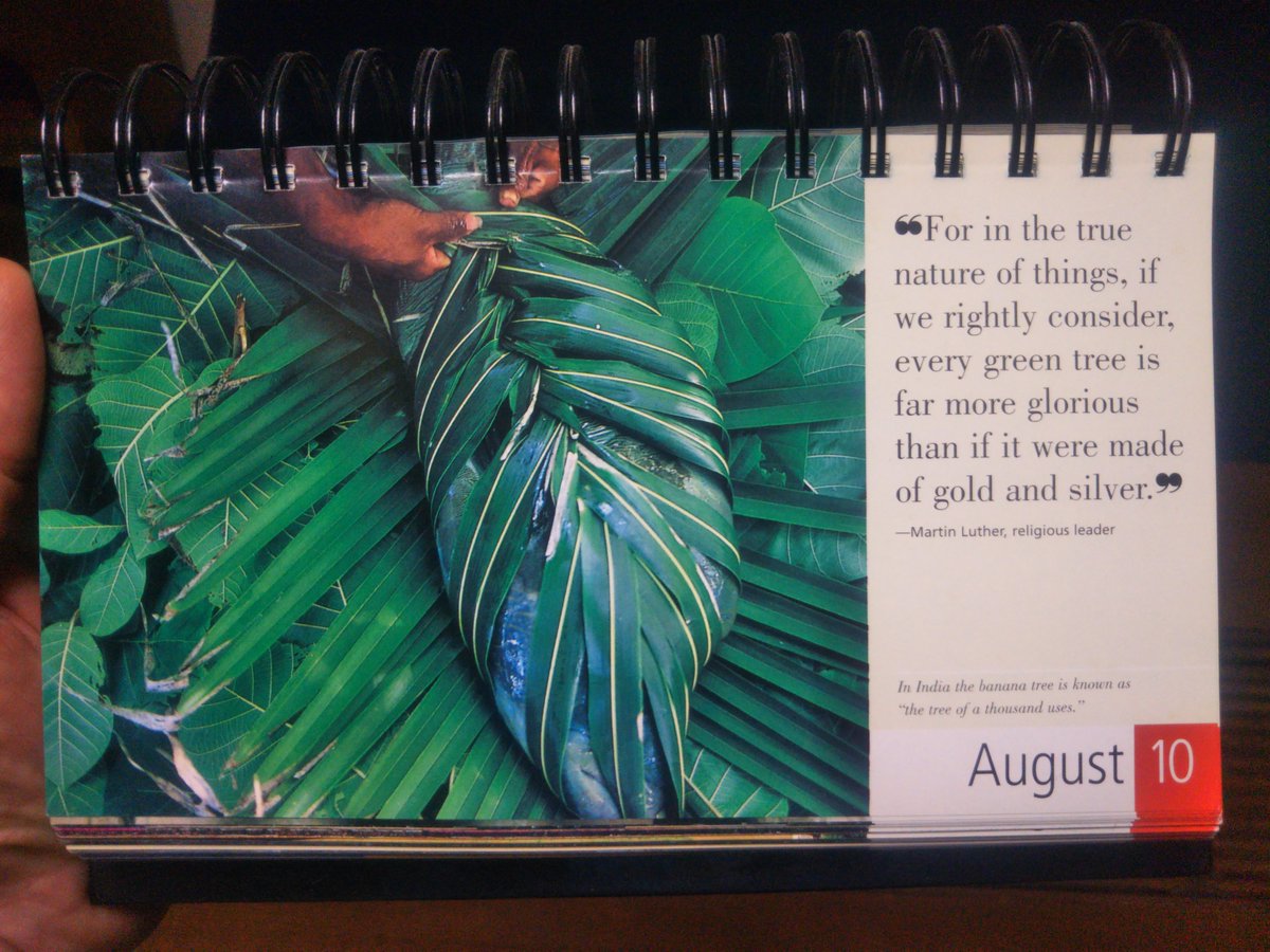 JerseySarcasm tweet media