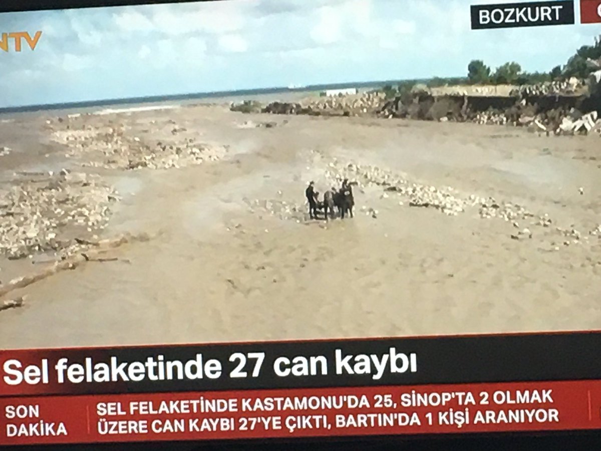 mehtapb23351719's tweet photo. Allahım   sen sabırlar ver şuan 2 gündür aç susuz bekleyen bir inek kurtuluyor zinciri takılmış ve öylece kalakalmış 😭😭Allahım sen orda yaşayan insanlara sabır ver ve son olsun inşallah ne çok korktu kimbilir işte bu yüzden hayvanlar benim için önceliğim #bozkurtyokoldu #hayirl https://t.co/p9KLqzleLd