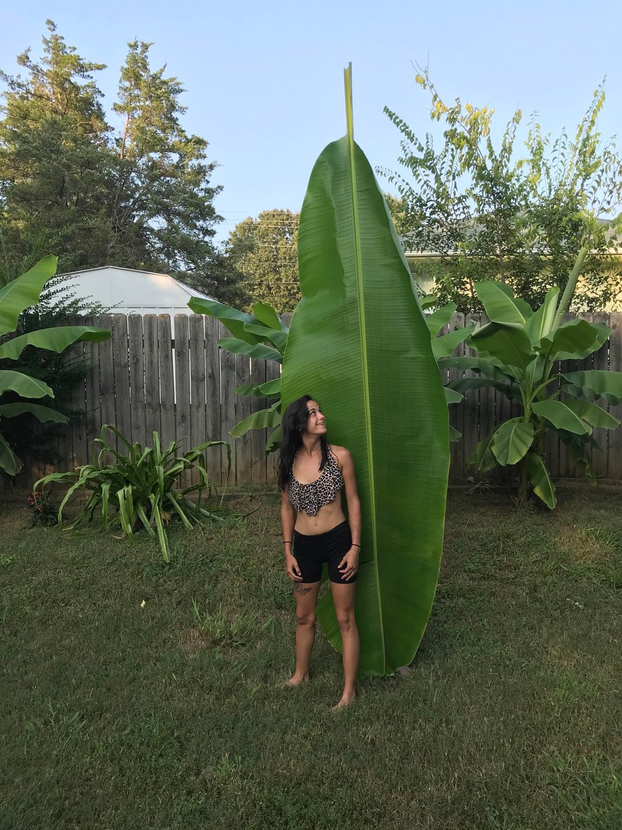 Javi_Etxebarria's tweet image. #HumanForScale