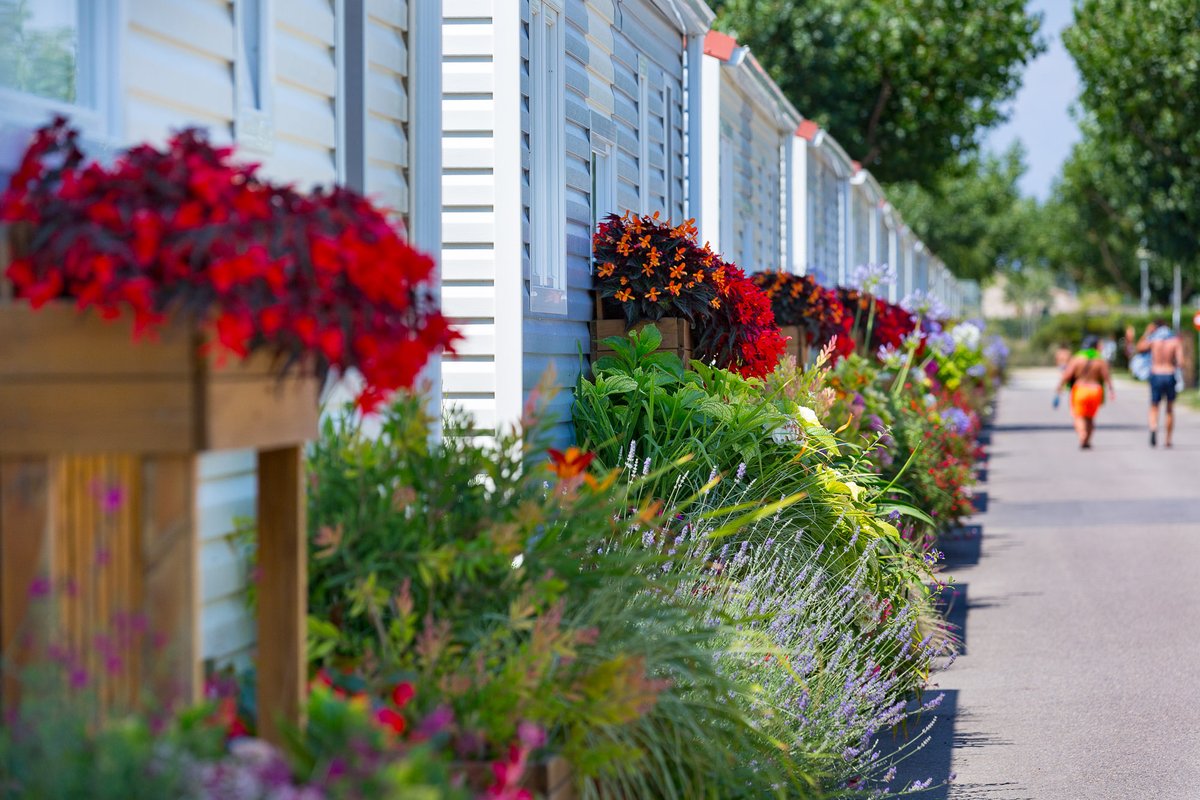 Al #campingamfora tenim dues coses al cor: la natura i les persones! Tenim instal·lacions adaptades a persones discapacitades (amb el segell Wheelchair Friendly); i són respectuoses amb el medi ambient (amb els certificats ecològics EMAS i ISO 14001). Cuidem del món i de tu! ❤️