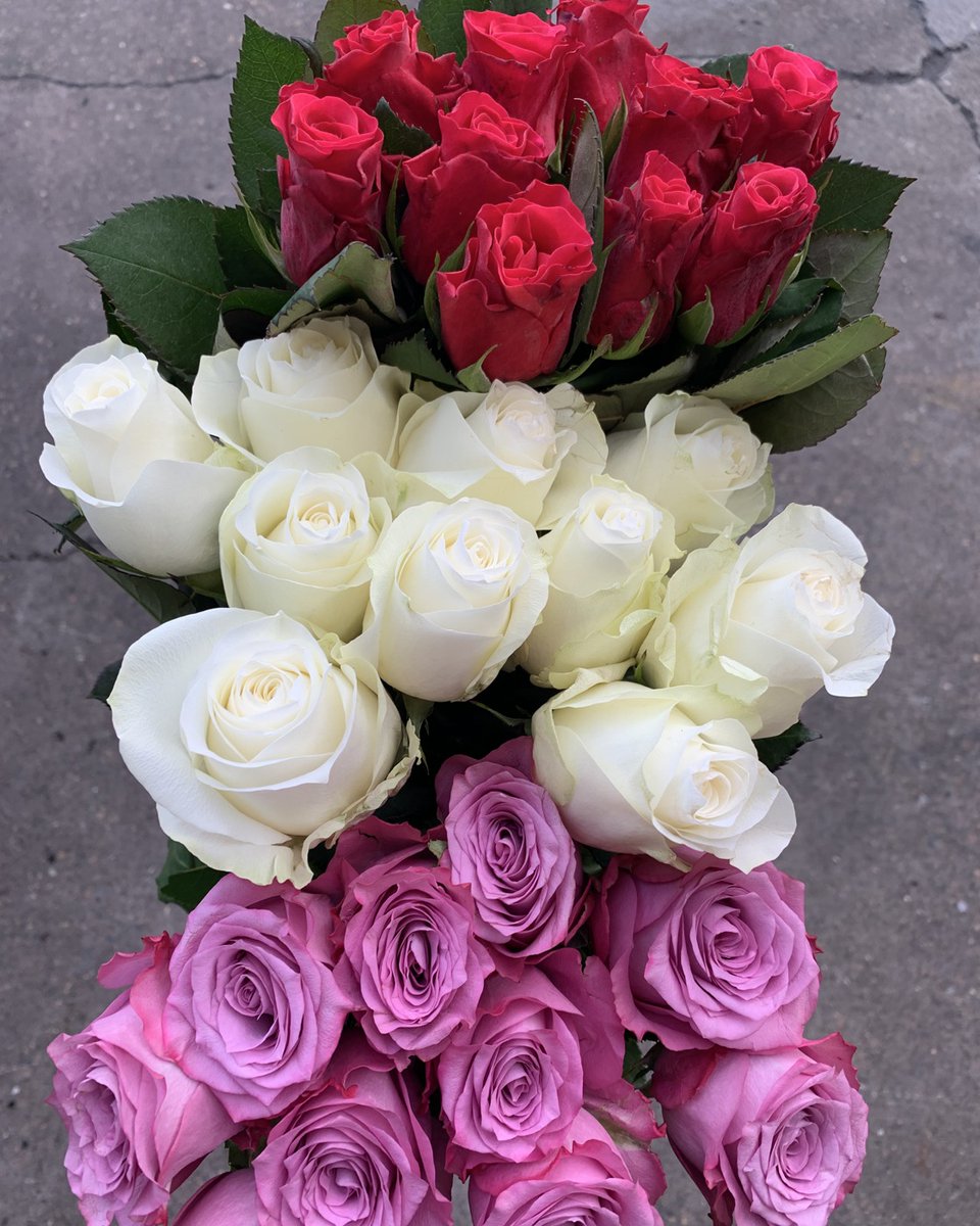 FlowerHub_AUS's tweet photo. How lovely it is to end the day with an all-time favourite flower, Roses.🌹😍 The variety we have is infinite, just like everyone's support in the flower industry despite the challenges we are all facing today.😷 Thank you everyone for support our #SmallLocalBusiness 🇦🇺 https://t.co/eAq6He1b3V