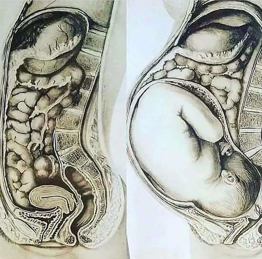 Semesta Sains tweet media