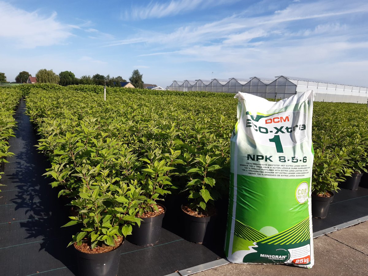 De DCM ECOR5 MINIGRAN, voorheen genaamd ECO-XTRA 1 is erg breed inzetbaar in de boomkwekerij containerteelt. Deze week kwam ik hem tegen in #Lavendel #Buddleja #Viburnum #Hydrangea al deze planten staan goed op kleur en hebben een compacte groei   :)