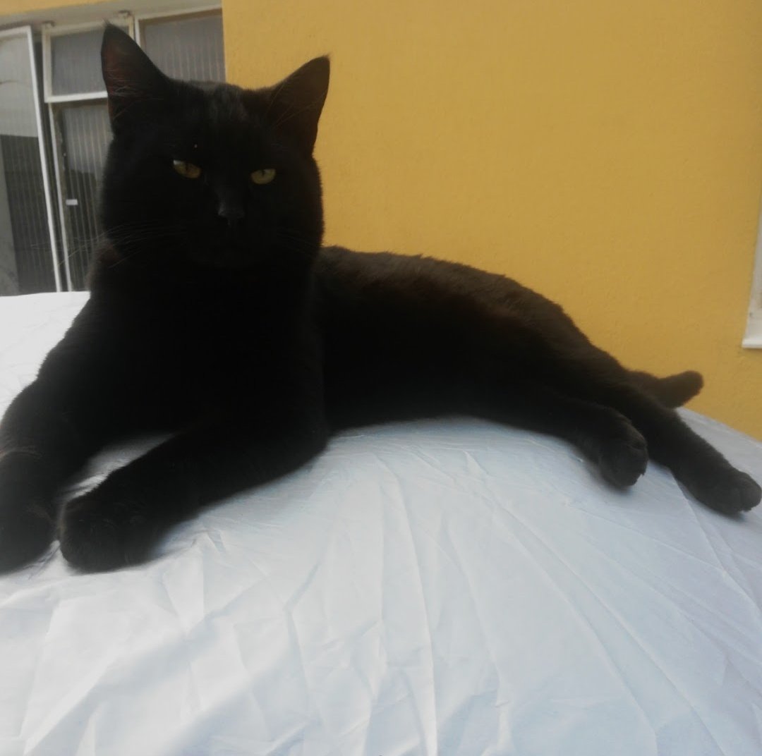 peachesucl's tweet photo. Happy Friday 13th from my black beauty 🖤 https://t.co/6v8tQ3HZNH