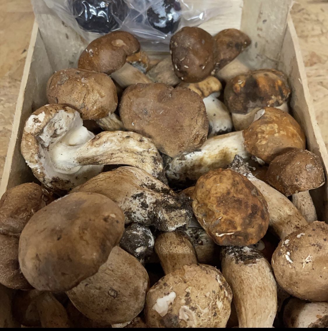 Cepes for the weekend?

#Cepes
#WildMushrooms
#ExoticMushrooms
#Hoole
#Chester
@shitchester
