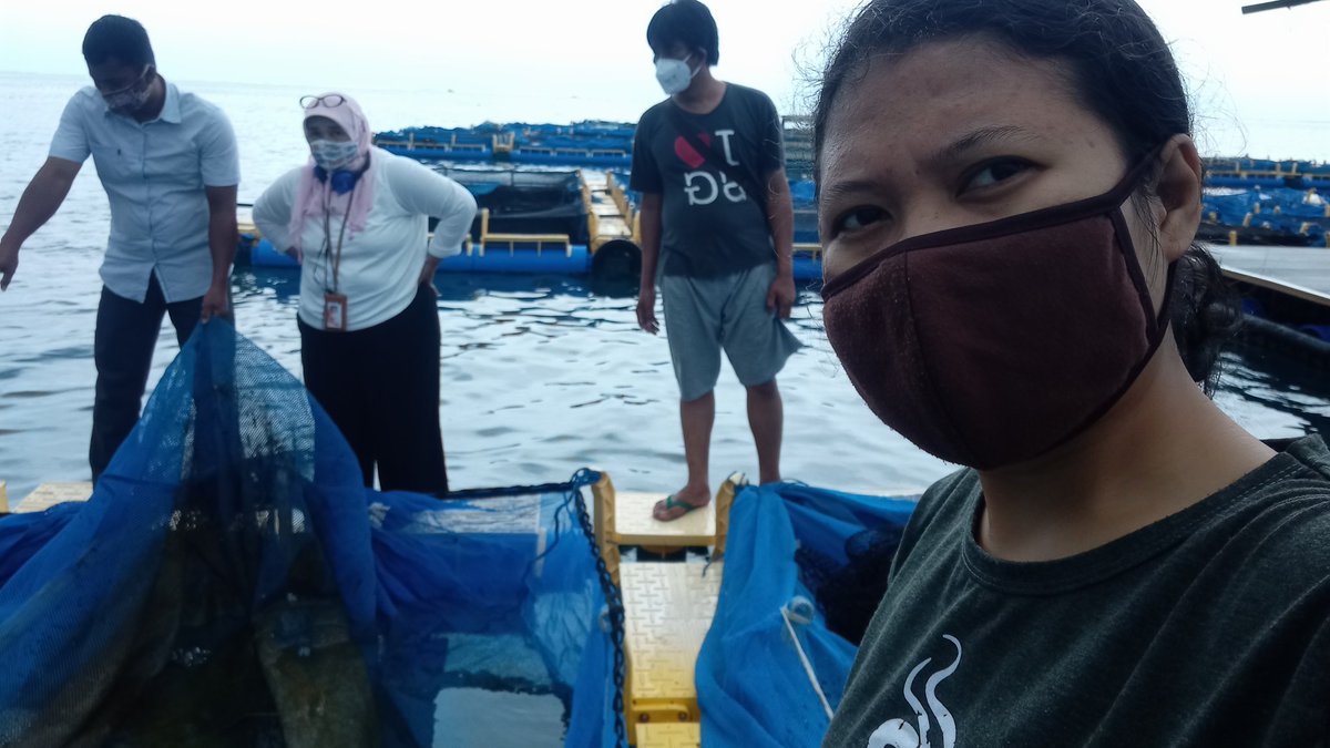 ElyGinting's tweet photo. Jumat (13/8), Ely Sufriyanti Ginting, Luhkan PPB Kep. Seribu, di Pokdakan Kerapu Cantik Pulau Panggang Kep. Seribu Utara, kunjungan lapangan dlm rangka monitoring KJA yang terdampak tumpahan Oil Spill. 
#GiatLuhkanSatminkalBogor #KepSeribu #Aktivitas
@Puslatluhkp @RisluhkanBogor https://t.co/SmscUPdbgq