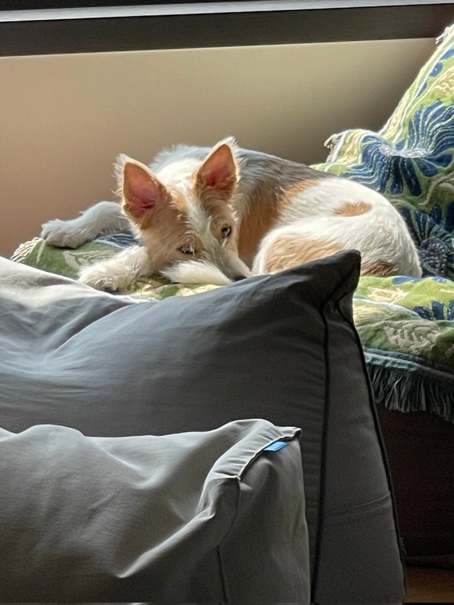 UnnieJuls's tweet photo. Rosé posted on WEVERSE
#ROSÉ #HANK #BLACKPINK https://t.co/k2k3rX6l25