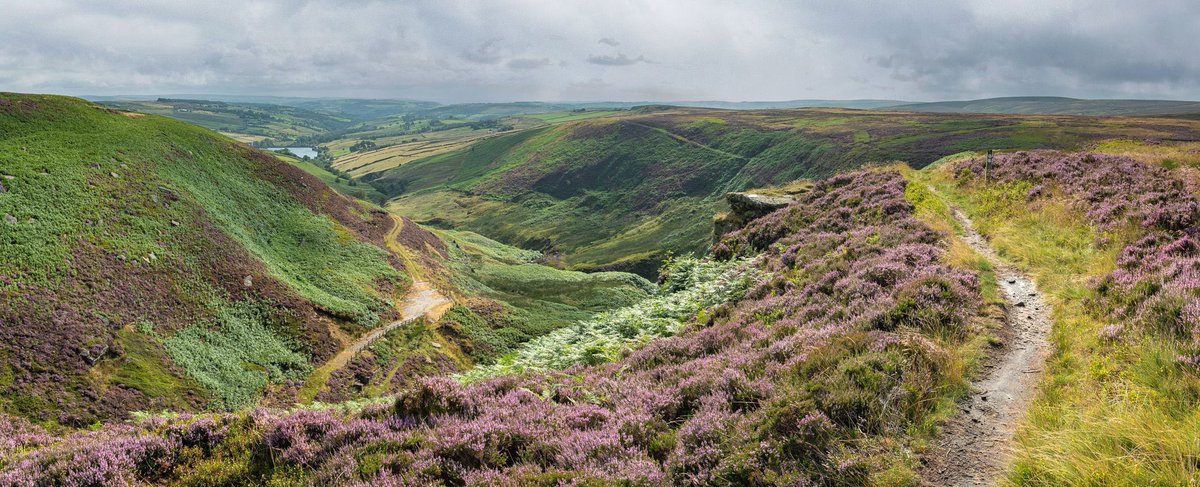 Brontë Country Landscapes tweet media