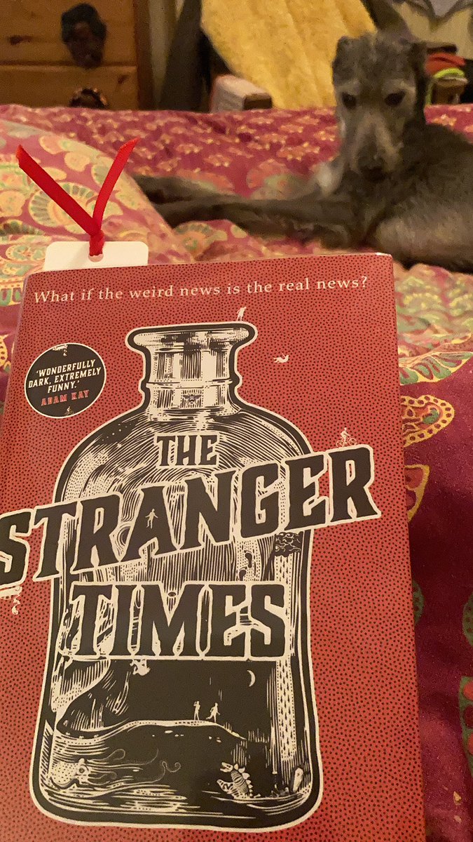 elinbach's tweet photo. A fantastic, superbly written #fortean adventure by @Caimh - a real grab-you-by-your-reading-glasses page turner! 🤓If you like reading even just a little bit, you’ll LOVE this witty, intelligent and fast-paced firecracker. Highly recommended! 5⭐️ #booksnotbigotry #lovelibraries https://t.co/FCs878jsTo