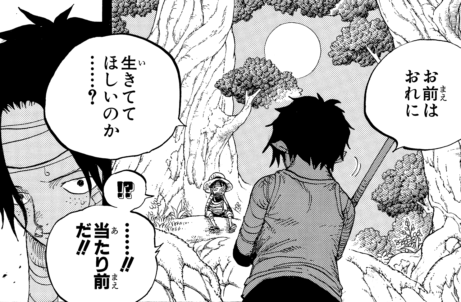 ワンピース マガジン 公式 Vol 12の特集は Asl エース推しで 3人の想いの強さに何度も涙してきたので 私にとっても嬉しい特集となりました 担当ページとはあまり関係ないですが 個人的に好きなシーンを紹介します 4枚じゃ足りない 皆さん