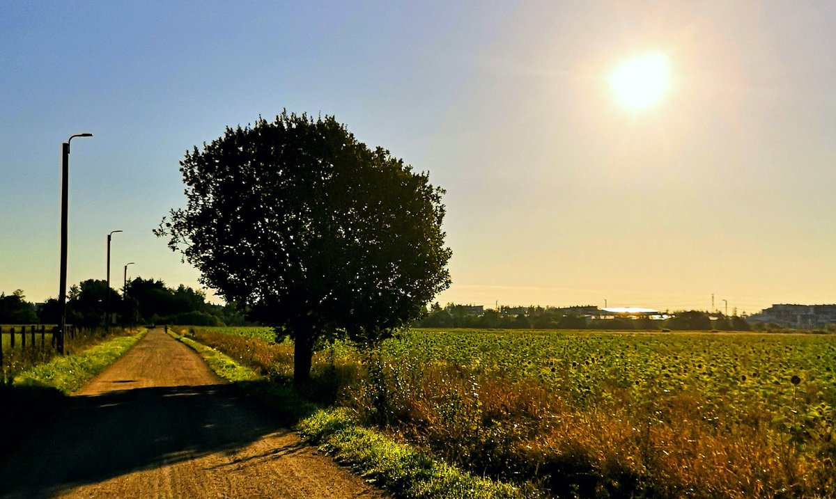 Country Roads and mtb #Helsinki #Finland #photography #StormHour #travel #Photograph #weather #nature #sunset #photo #landscape #sky #clouds #Summer #FridayMotivation #cycling #cyclinglife https://t.co/sc9opqTn0i