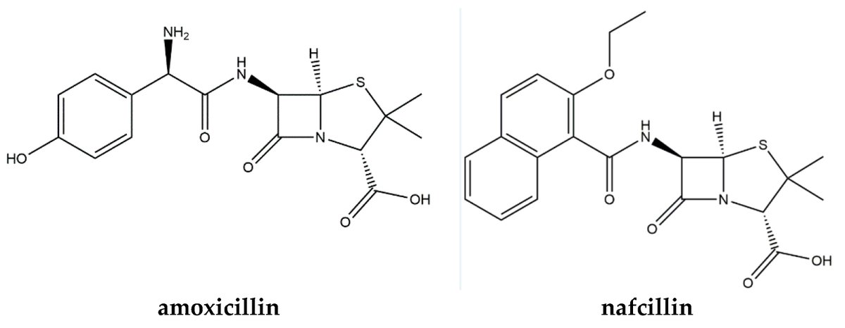 chemosens_MDPI's tweet photo. Screen Printed Electrode Based Detection Systems for the Antibiotic Amoxicillin in Aqueous Samples Utilising Molecularly Imprinted Polymers as Synthetic Receptors
by Robert D. Crapnell et al. https://t.co/fbAuCzH9Rr
#ScreenPrintedElectrode
#MolecularlyImprintedPolymers https://t.co/A0aXU5rYIt