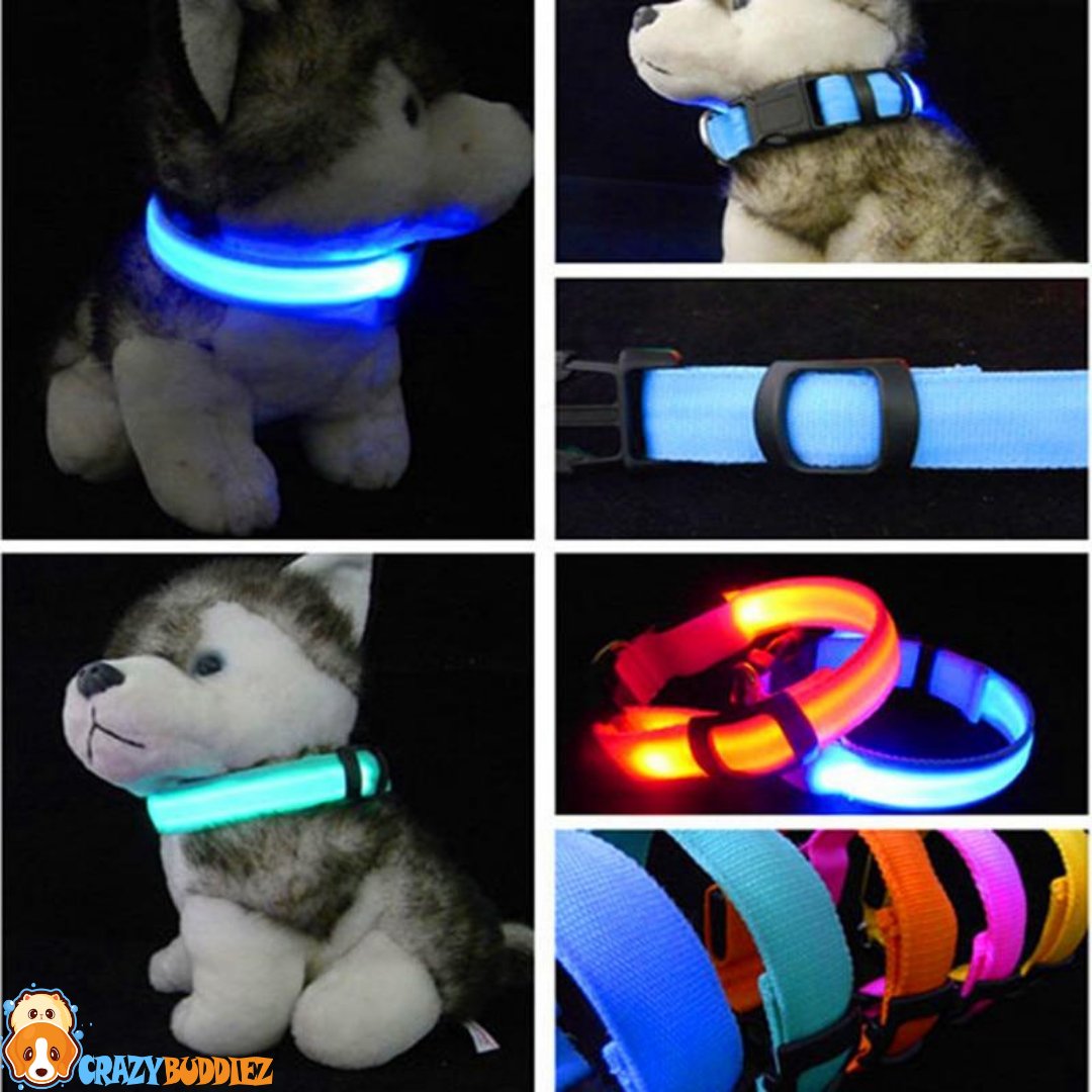 PET LED COLLAR
This collar will help others see both you and your dog while out on walks at night or in the dark! Lightweight, your pet will surely love it. 
crazybuddiez.com/.../products/p…
#instagrampets #petsagram #petsofig #petoftheday #ilovemypet #petlife #instapet #petsgram #pet