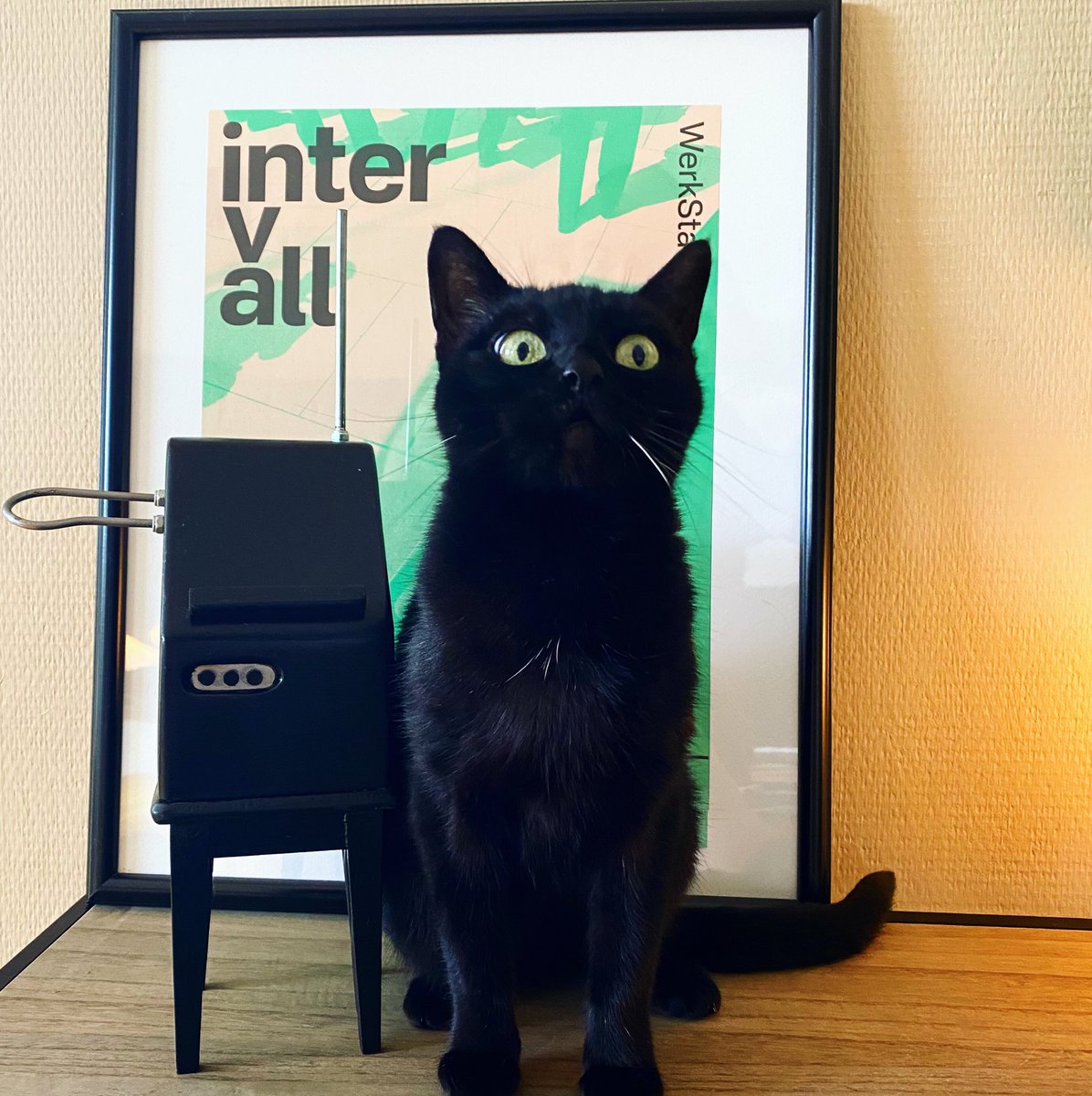 Thorwald Jørgensen tweet media