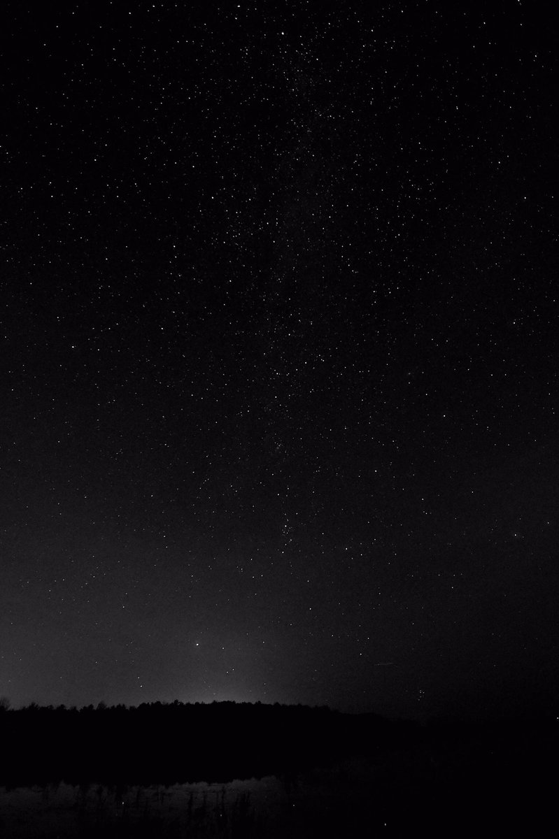 Camp of the North tweet media