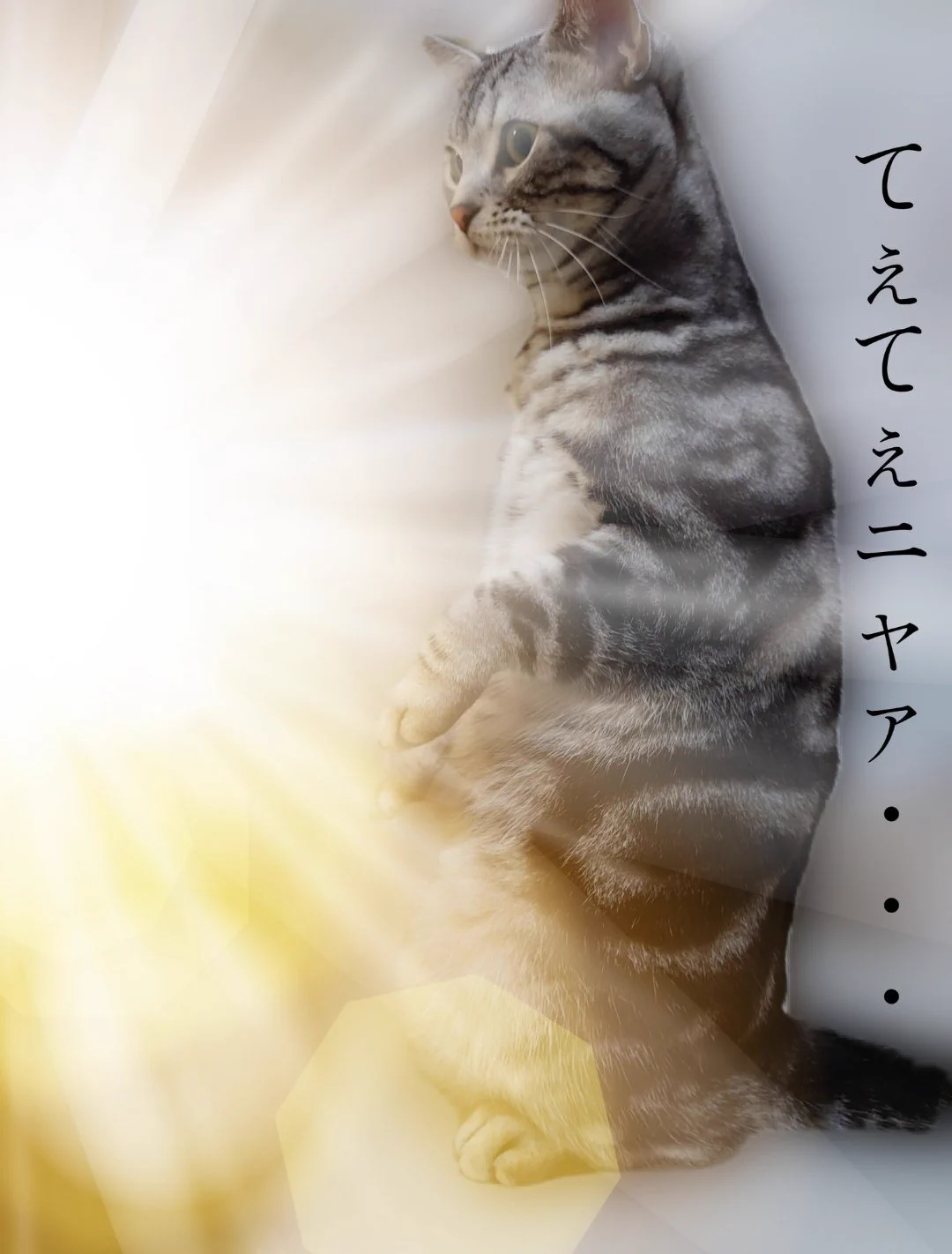 @annonanam とにかく 