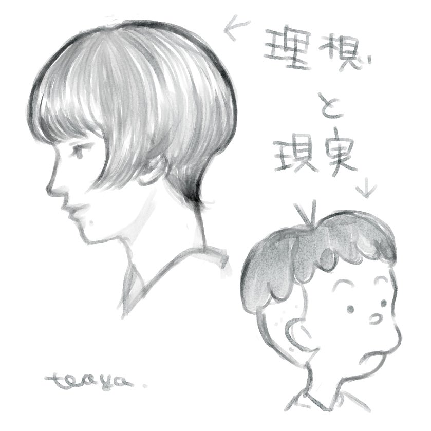 林檎さんの髪型がステキすぎてあんな感じに切ってもらったんだけど 髪型見た家族に ティヤの漫画