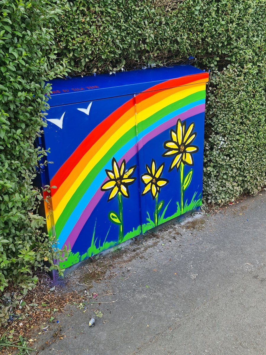 LLLCommunityHub's tweet image. 2 of our wonderful media boxes done! Designed by the community. Don't they look fab?  Thanks to our wonderful artist Ryan Watkins for bringing them to life! Also to the teams at @virginmedia and @LeedsInspired for being so supportive and working so collaboratively with us all.