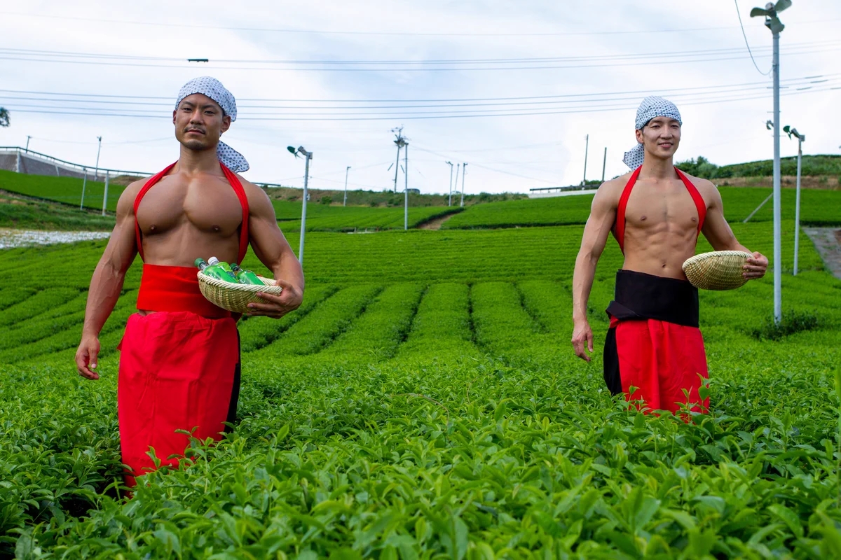 なにこのアンバランスだけどマッチしてる感。茶摘み娘ならぬ、茶摘みマッチョ。