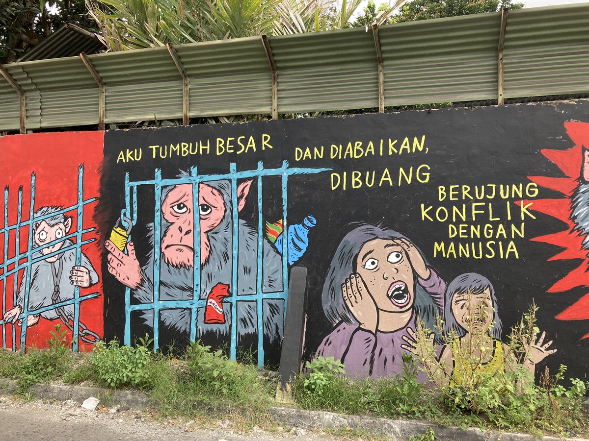 budhihermanto tweet picture
