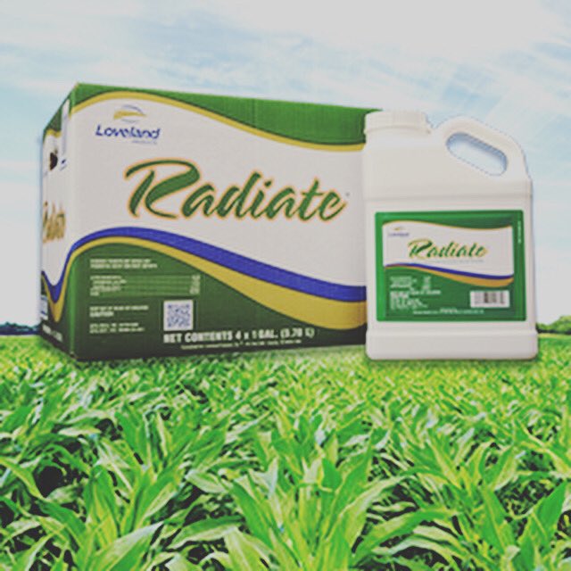 Root Dysfunction results in the loss of root hairs. Recover them with Radiate!