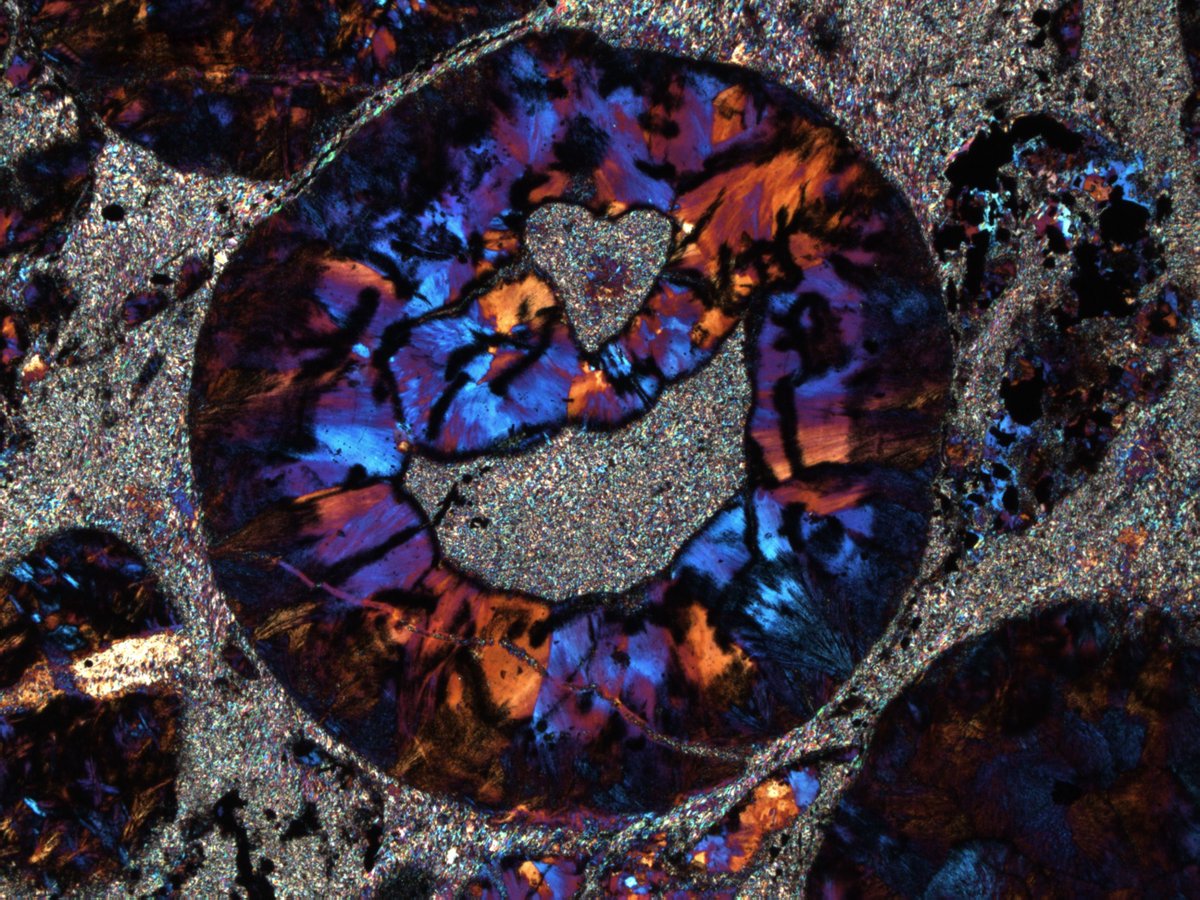 EuroGeosciences's tweet photo. Have you ever wondered how to get a spectacular #SciencePhoto to help communicate your work? This #WorldPhotographyDay with the #imaggeo resource on the #EGUblogs we've picked out our top 5 tips to help you capture that perfect science #photo!
Read more: https://t.co/kDKs9cdQ35 https://t.co/PwUjjcwYWY