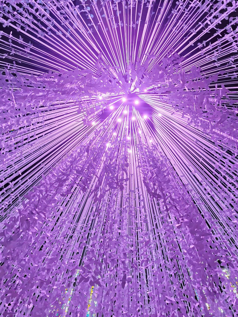 Peace Doves <a href="/LivCathedral/">Liverpool Cathedral</a>