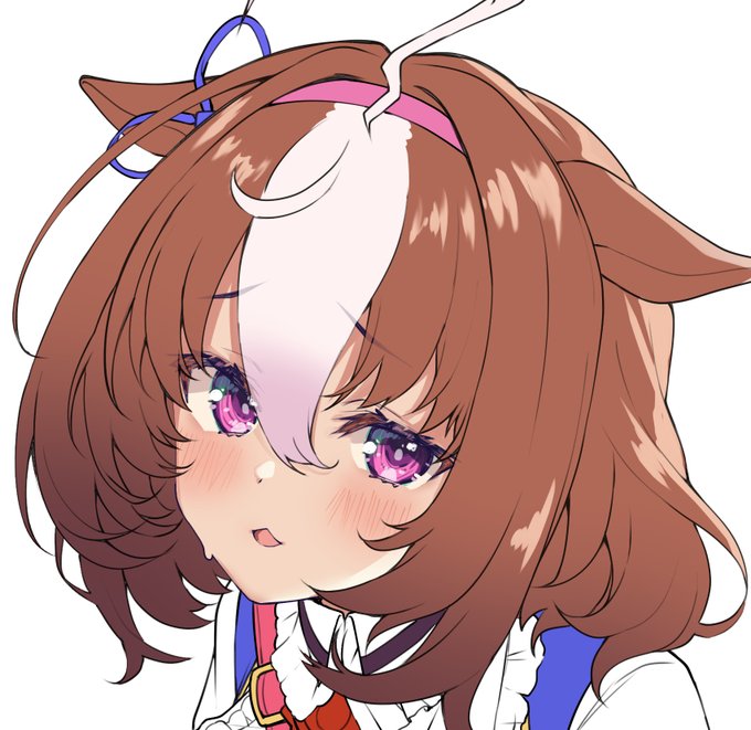 メイショウトチュウ 