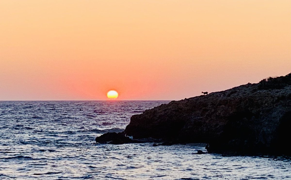nemoingiro's tweet photo. Where is the goat?!?
#karpathos #finiki #greece #nemoingiro #sunset https://t.co/b7RZSD59QJ