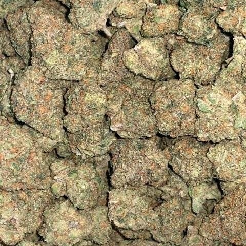 François Hollande (@maxsbruno) on Twitter photo 