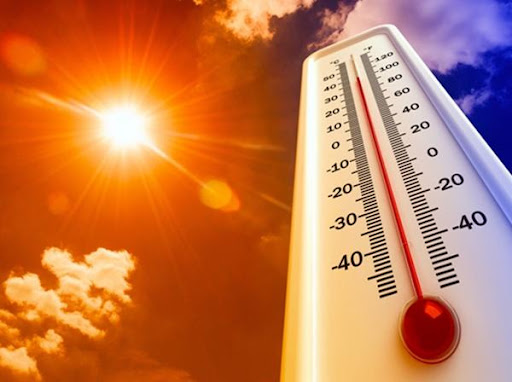 Снова 41 градусов. Скоро мы как арабы привыкнем к жаркой погоде, и нам станет все равно какая температура...