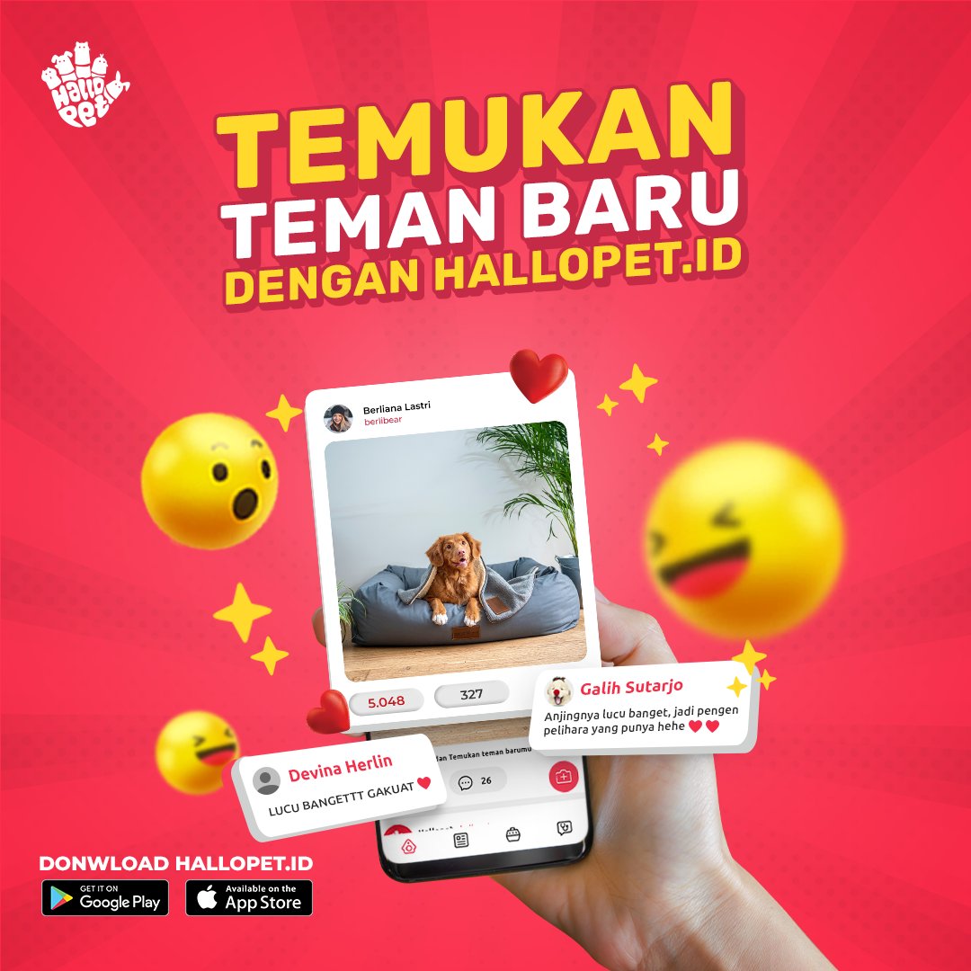 hallopetid's tweet photo. Sekarang Sahabat bisa menemukan teman baru sesama pecinta hewan cuman lewat aplikasi https://t.co/vEp5dhheef. Sahabat juga bisa ngobrol dan berbagi informasi dengan menggunakan fitur CHAT dari https://t.co/enLHnooSn9 lho.

#hallopetid #story #chat #fiturhallopetid #dirumahaja https://t.co/oNsjRyDS9H