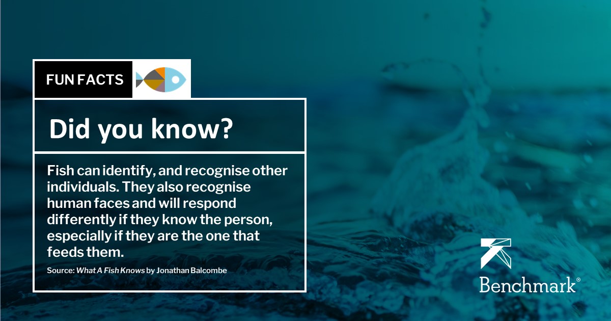 Friday fun fact!