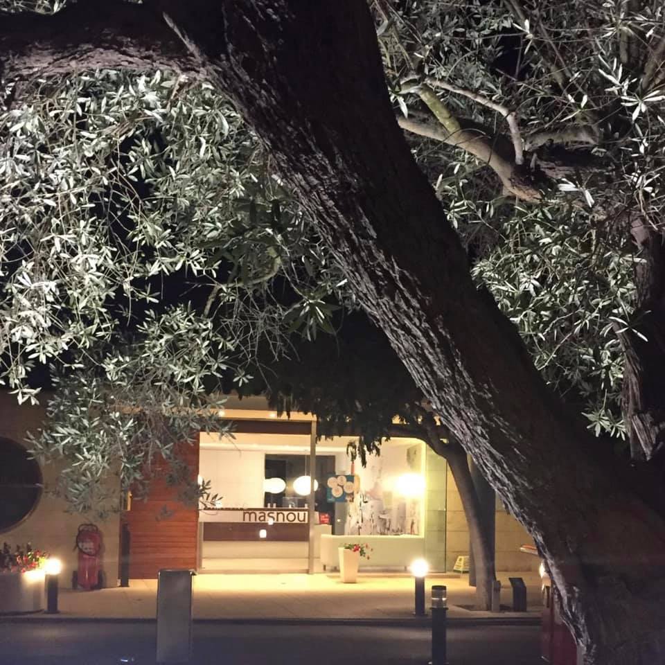 [es]Te presento al olivo más feliz del mundo. Siempre ve caras sonrientes. 
[ca]Et presento a l'olivera més feliç del món. Sempre veu cares sonrients. 
[en]Meet the happiest olive tree in the world. He always sees smiling faces.