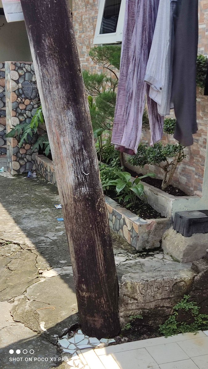 herialf's tweet image. Mohon bantuannya pak @pln_123 , tiang listriknya sudah miring, dan di lokasi sekitar banyak anak2 bermain.. Sekarang ini sering hujan dan angin kencang. Lokasi di jl. eka rasmi gg. Eka dewi, Medan Johor. Terima kasih.