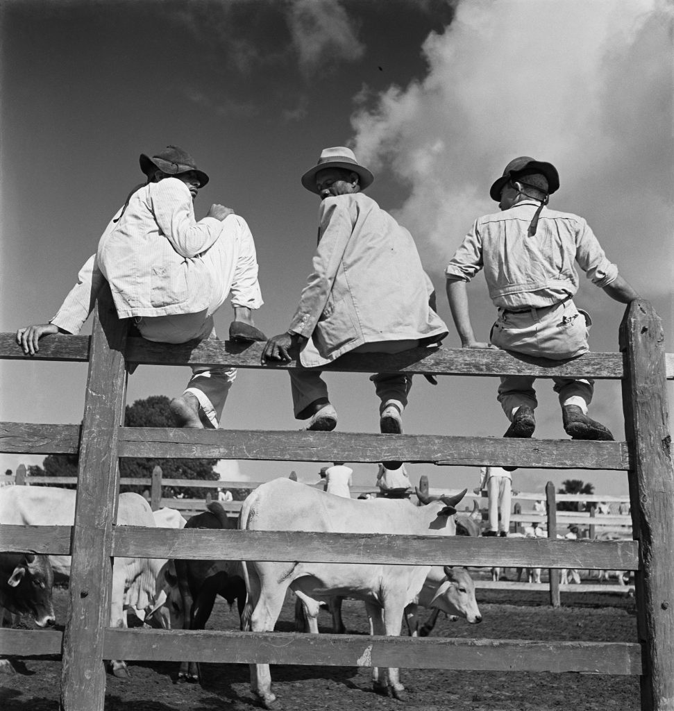 TeyssierdOrfeui's tweet photo. Instituto #TomieOhtake apresenta linda exposição “#PierreVerger: Percursos e memórias” com imagens inéditas ou raramente mostradas do fotógrafo 🇨🇵. Em parceria com @cgfsaopaulo https://t.co/nNat8R2ujE https://t.co/p5cwwvGlfl