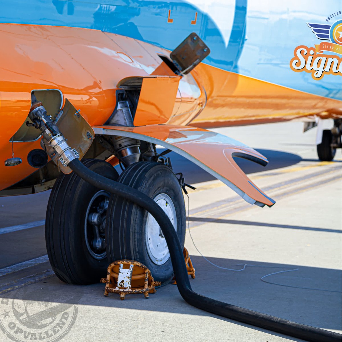 SigncraftNL's tweet image. 🌴Week 33 en 34 (13 t/m 30 augustus) vieren we de zomer en zijn ook wij even bijtanken. Vanaf 13 augustus zijn we daarom beperkt aanwezig en bereikbaar. 30 augustus staan we weer vol creative brandstof met de meeste bemanning voor je klaar!