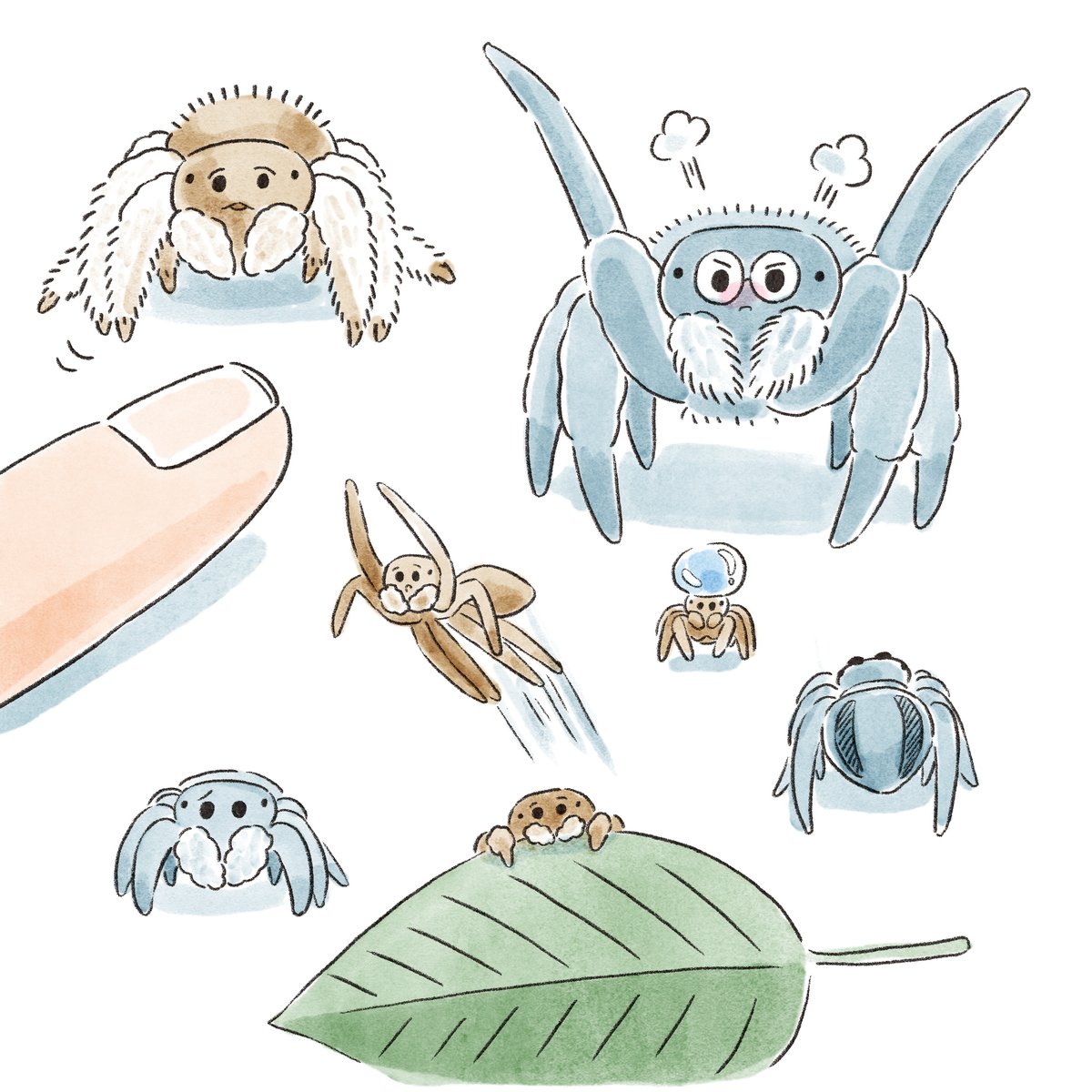 加賀谷奏子 ハエトリグモのデフォルメ 納得できなさすぎて 終わってから描き直しました 指とか葉っぱとか サイズを対比できるものを入れると 可愛くなることを発見 ちっちゃいものはかわいいんだな Nowakiイラスト T Co Hzplrwtj5h Twitter