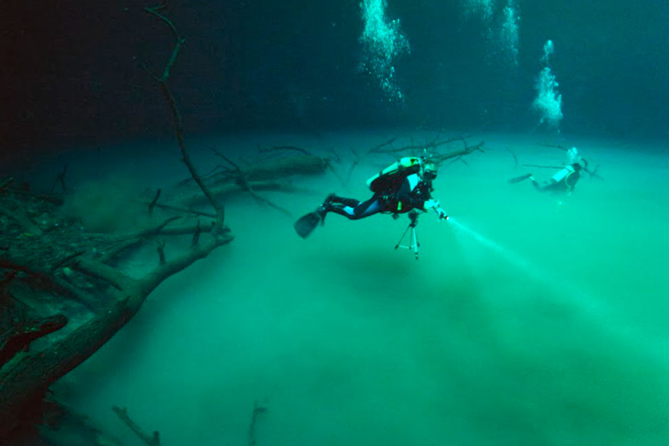 DeepMexico1's tweet image. Gustavo Dietz Moch was the first to discover the cenote of Punta Laguna with more than 80 skeletons inside (it is documented), since then he makes excursions and tours to dive in cenotes of Tulum and the Riviera Maya.

Book online at: deepmexico.com