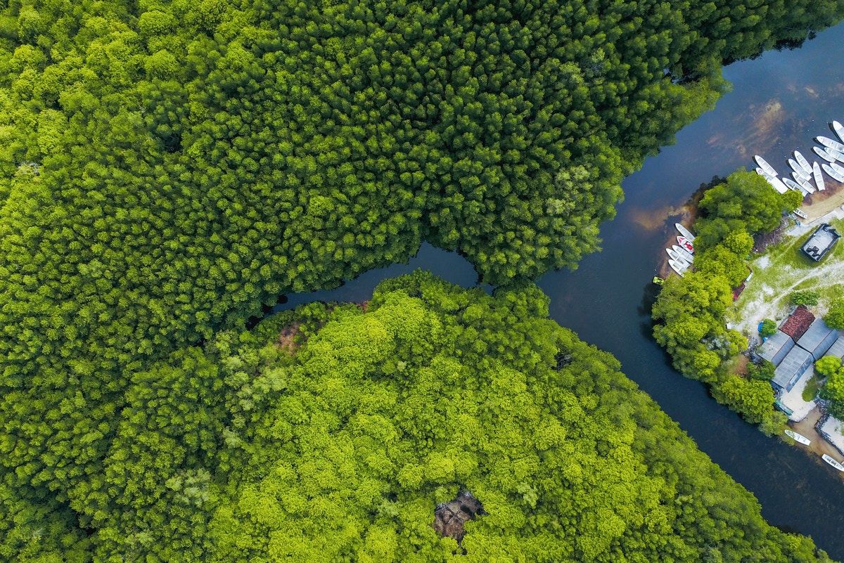 Nature-based solutions are gaining traction as a way to help corporations decarbonise. Where are the challenges in scaling these solutions, and how is innovation growing the space? buff.ly/2TZkU8I
#climateneutral #climate #ClimateCrisis #ClimateAction #ClimateJustice
