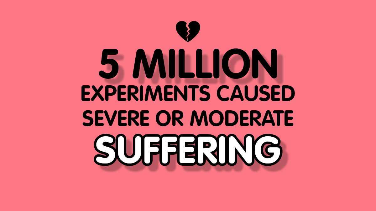 Five million experiments on animals in the EU in 2018 involved what EU law defines as severe or moderate suffering. Instances of both severe and moderate suffering increased between 2017 and 2018. #EndAnimalTesting #UseScienceNotAnimals