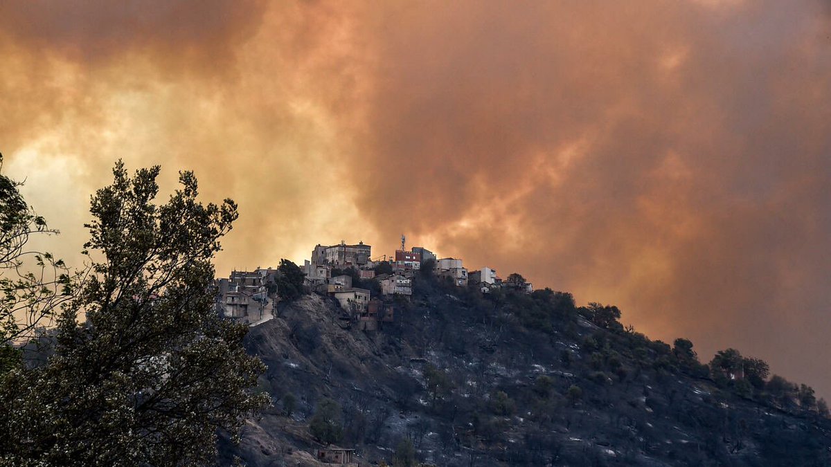 HumanitySmile3's tweet photo. N’oublions pas que nos frères algériens souffrent encore 🙏🏽, 
Une cagnotte a donc été mise en place pour les aider :

https://t.co/yS4MncgIRZ

Aidez nous en partageant ��galement la cagnotte un simple RT peut tellement servir.
#PrayForAlgeria https://t.co/3U7SGxr8mC