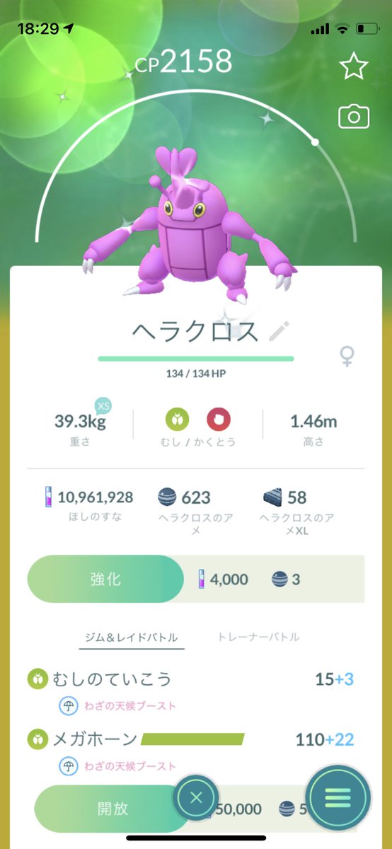 pokego0122's tweet photo. えーーーー！！
男の子でて、5戦目で女の子きた！
合計レイド数118戦😭💸笑
#ポケモンgo #ヘラクロス　#レイドバトル https://t.co/dXltAraMvr