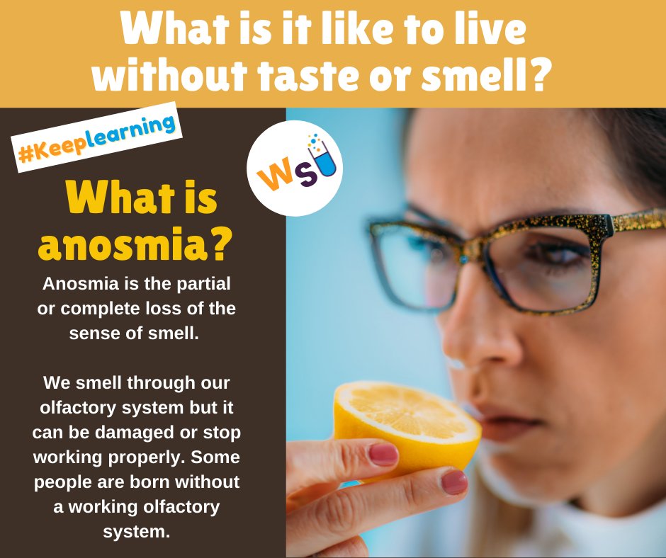 WonderScience2's tweet image. What is it like to live without taste and smell?
#keeplearning #instalearn #funfacts #scienceforkids #didyouknow #lossofsmell