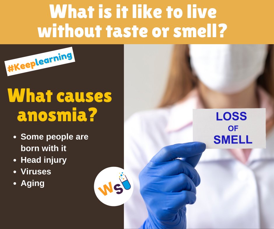 WonderScience2's tweet image. What is it like to live without taste and smell?
#keeplearning #instalearn #funfacts #scienceforkids #didyouknow #lossofsmell