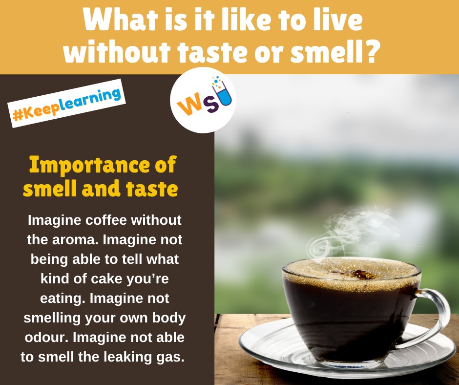 WonderScience2's tweet image. What is it like to live without taste and smell?
#keeplearning #instalearn #funfacts #scienceforkids #didyouknow #lossofsmell