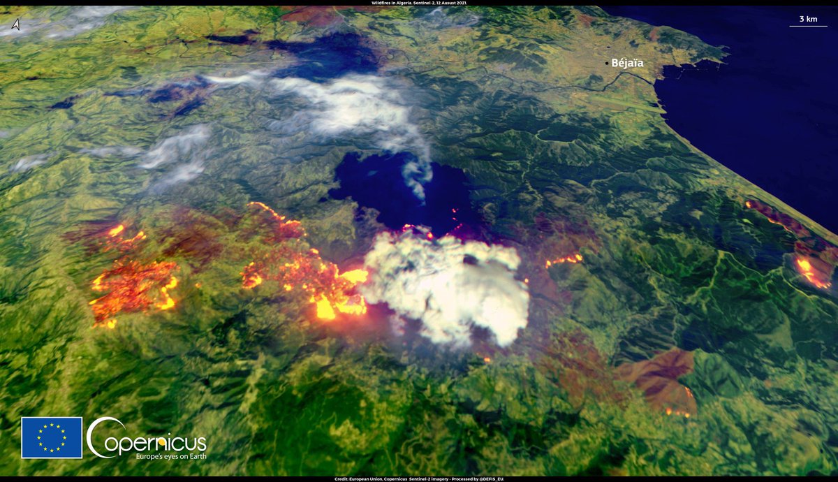 MenaCommodities's tweet photo. #Algeria #Climate_Change #Heatwave #Mediterranean #North_Africa 

A severe #heatwave rages across #Mediterranean_Basin and disastrous #wildfires blaze up in the affected countries - This shocking image is of #Algeria on August 12, 2021 taken by #Sentinel2 🛰 (@CopernicusEMS) https://t.co/ZU7lZViOeQ