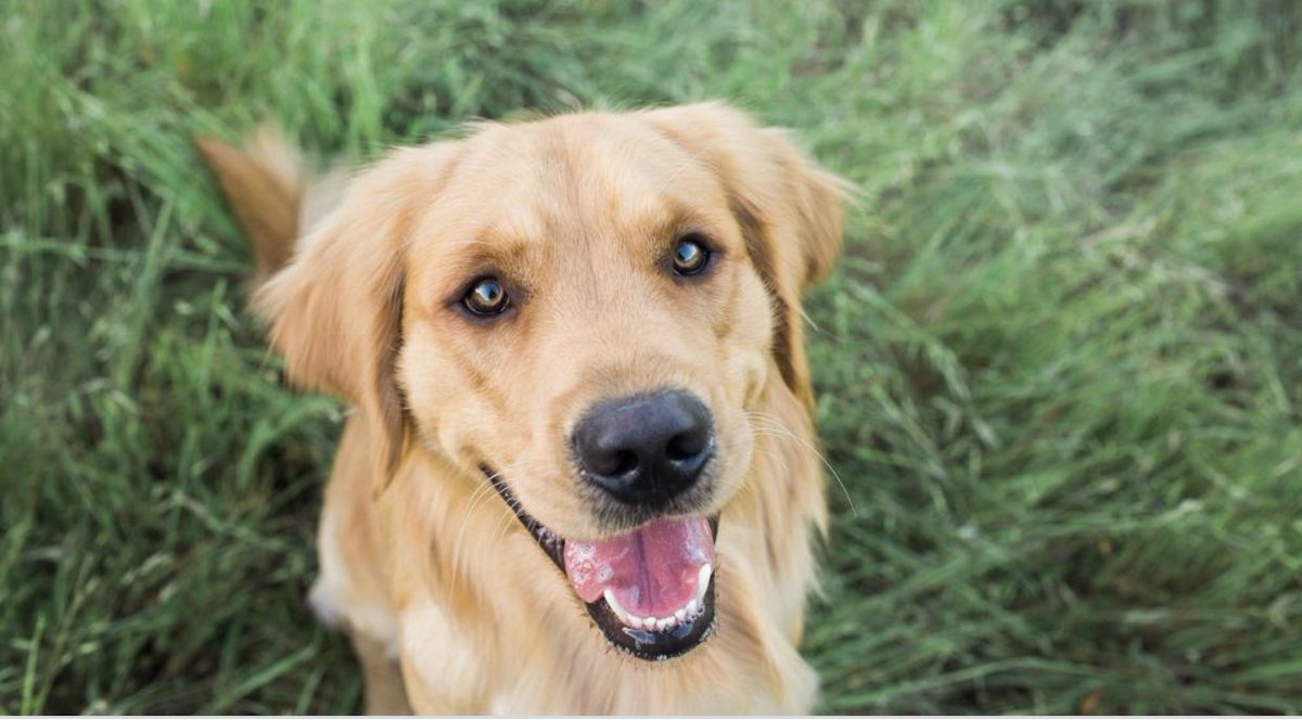 Anybody else got that Friday feeling😀🥰

What are your plans for the weekend?